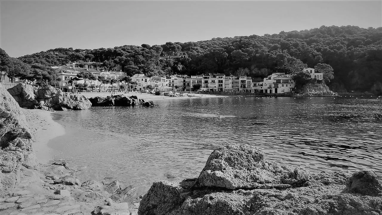 Apartman Apartamento 3H Primera Linea De Mar Y Piscina Gm 2 424 Pals